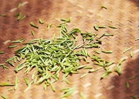 企业网站模板《聚鑫汇游戏官网》（五）